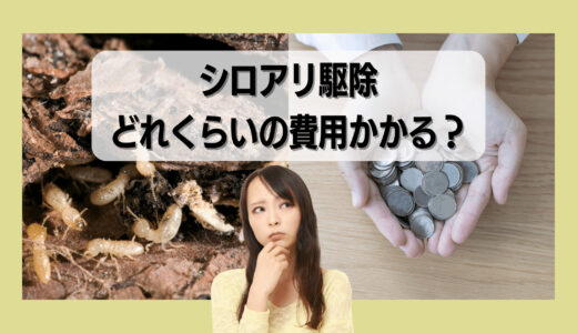 一軒家のシロアリ駆除はどれくらいの値段がかかる？補助金や火災保険の申請もおすすめ！