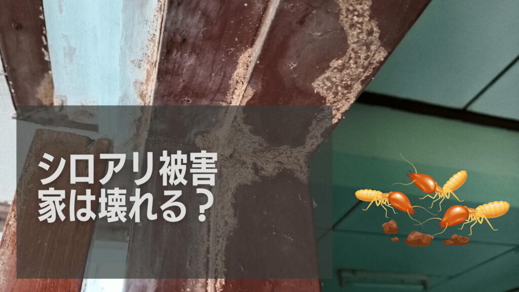 シロアリに家をやられたら家は壊れる?施工事例や対策方法を解説! | リフォームのAtoZ